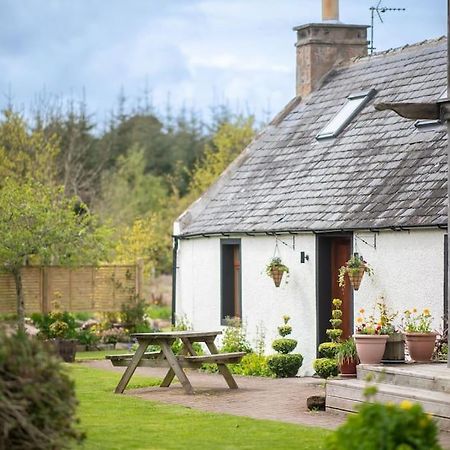 Cosy & Rustic Retreat - Woodland Cottage. Nairn Dış mekan fotoğraf