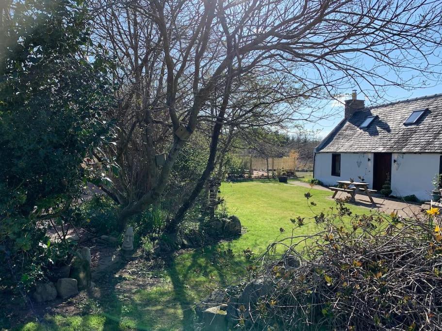 Cosy & Rustic Retreat - Woodland Cottage. Nairn Dış mekan fotoğraf