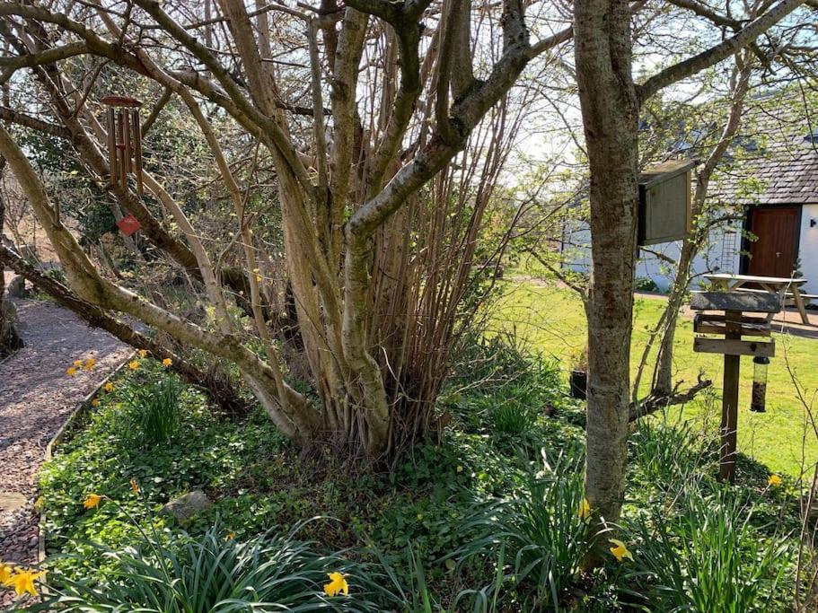Cosy & Rustic Retreat - Woodland Cottage. Nairn Dış mekan fotoğraf