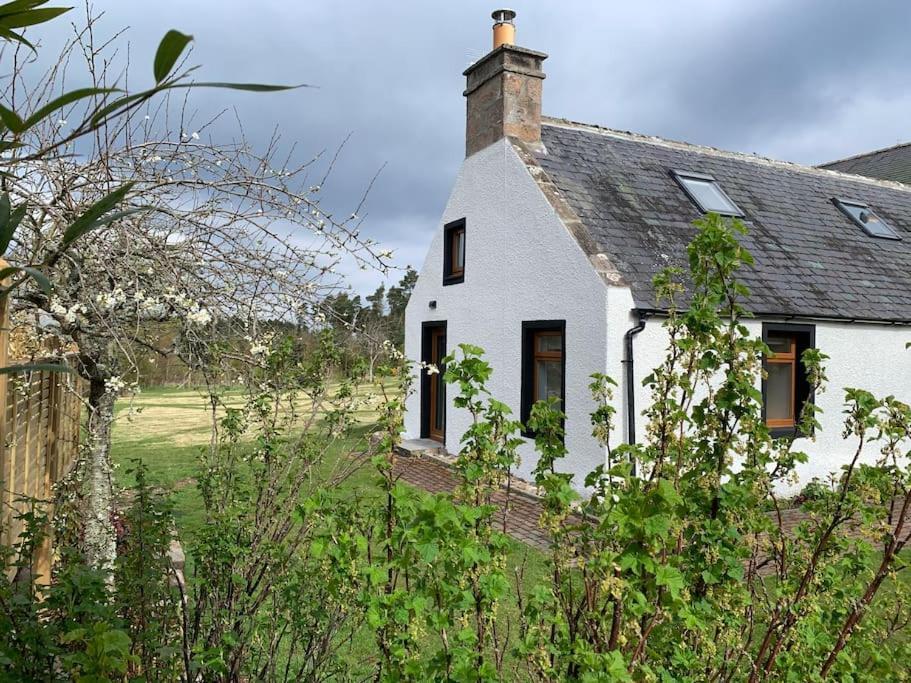 Cosy & Rustic Retreat - Woodland Cottage. Nairn Dış mekan fotoğraf